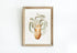 framed velodona octopus illustration print wall art